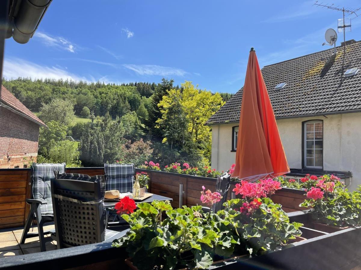 Bergparadies Diemelsee Schweinsbuhl Екстер'єр фото